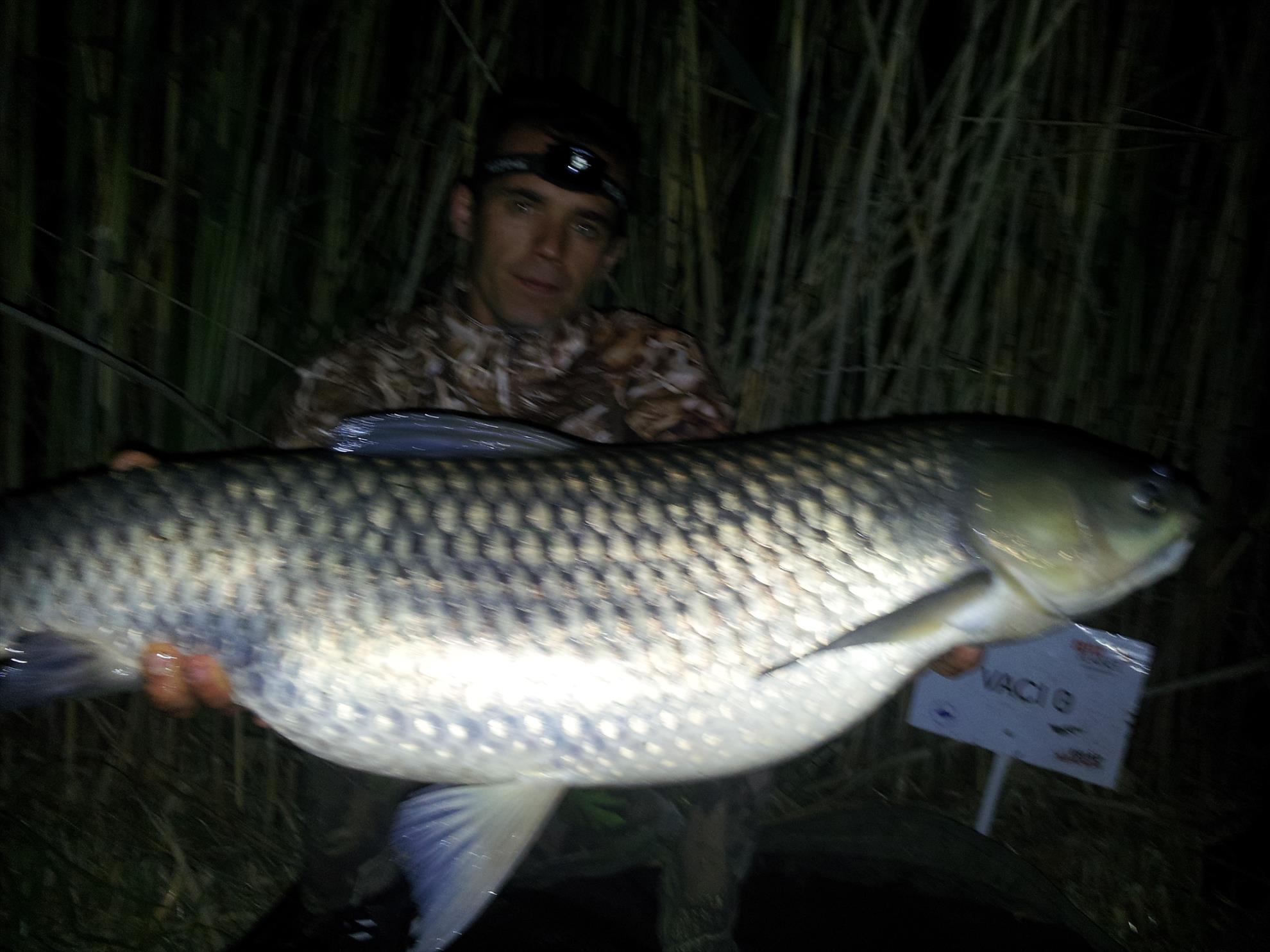 tancabesti  5-6 aprilie 2013 - 20130512013132.jpg